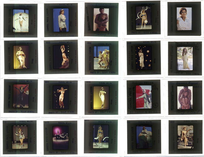 TON_Raquel_contact_137: Raquel Welch