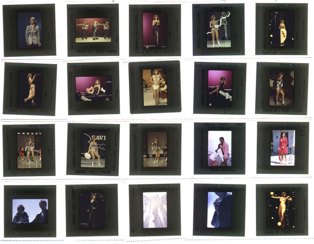 TON_Raquel_contact_141: Raquel Welch