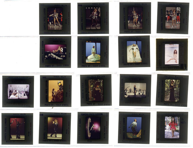 TON_Raquel_contact_147: Raquel Welch