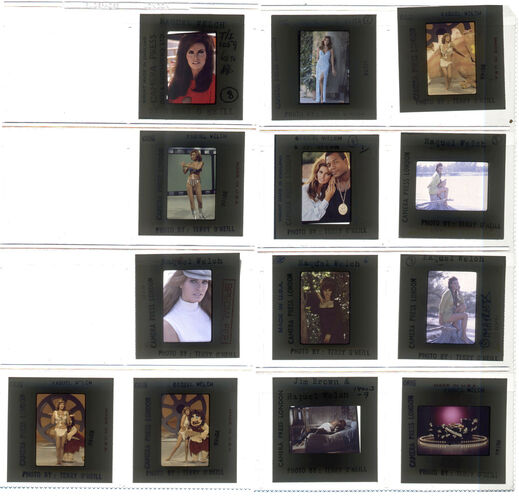 TON_Raquel_contact_149: Raquel Welch