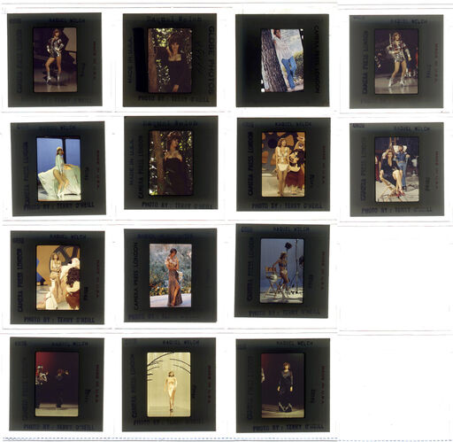 TON_Raquel_contact_151: Raquel Welch