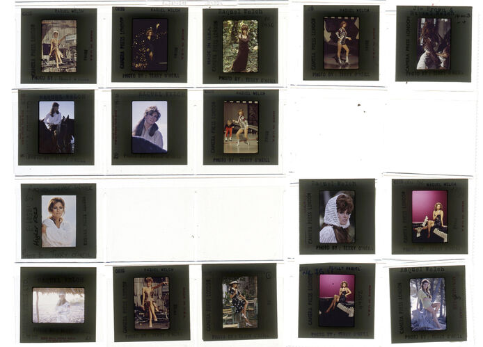 TON_Raquel_contact_152: Raquel Welch