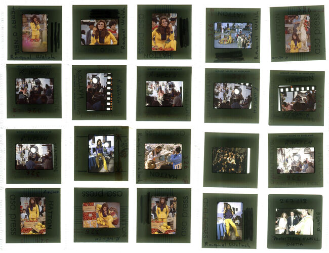 TON_Raquel_contact_153: Raquel Welch