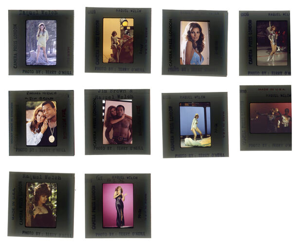 TON_Raquel_contact_157: Raquel Welch