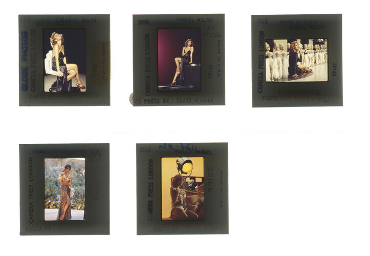 TON_Raquel_contact_162: Raquel Welch