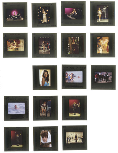 TON_Raquel_contact_163: Raquel Welch