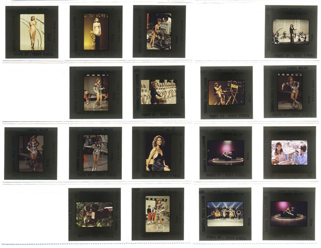 TON_Raquel_contact_166: Raquel Welch