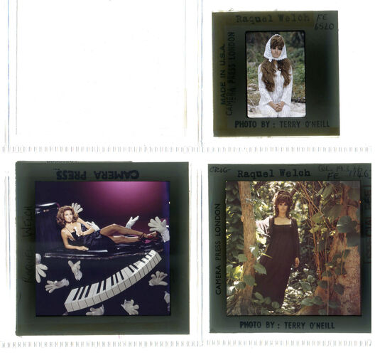 TON_Raquel_contact_167: Raquel Welch