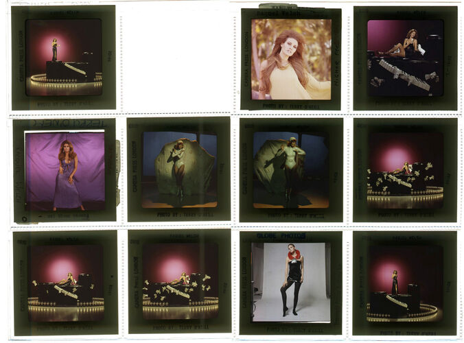 TON_Raquel_contact_168: Raquel Welch