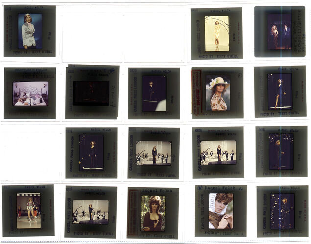 TON_Raquel_contact_169: Raquel Welch