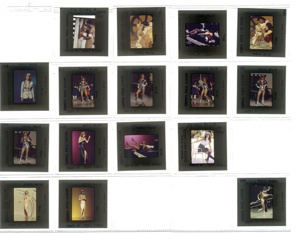 TON_Raquel_contact_170: Raquel Welch