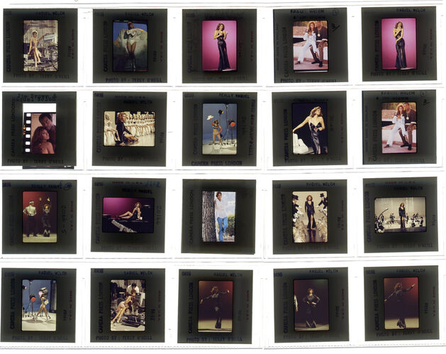 TON_Raquel_contact_171: Raquel Welch