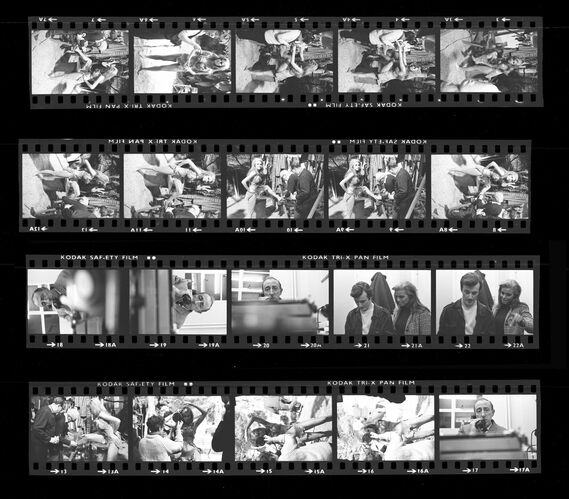 TON_Raquel_contact_175: Raquel Welch