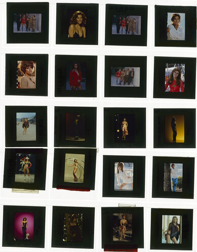 TON_Raquel_contact_181: Raquel Welch