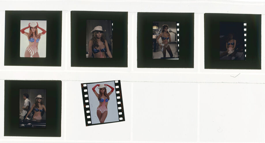 TON_Raquel_contact_188: Raquel Welch