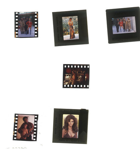 TON_Raquel_contact_192: Raquel Welch