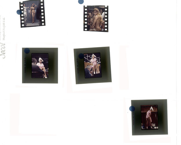 TON_Raquel_contact_193: Raquel Welch