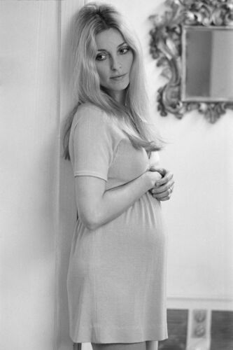 TON_ST011: Sharon Tate