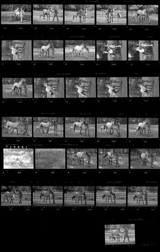 TON_S_Contact_023: Rod Stewart