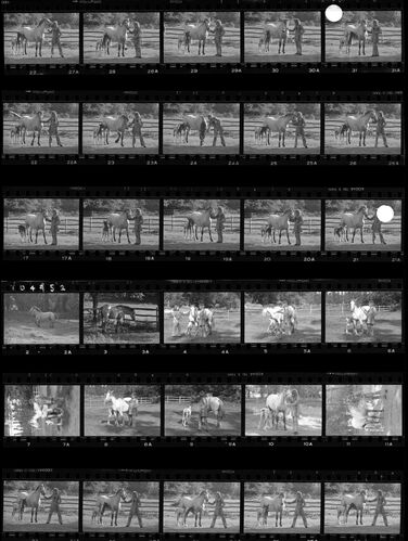 TON_S_Contact_024: Rod Stewart