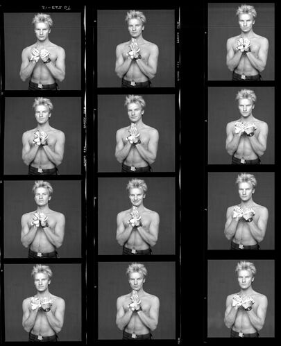 TON_S_Contact_027: Sting