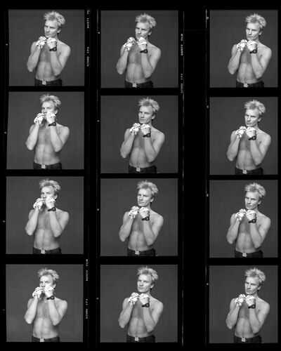 TON_S_Contact_028: Sting