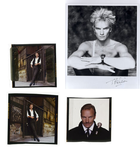 TON_S_Contact_029: Sting