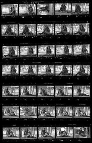 TON_S_Contact_039: Jane Seymour