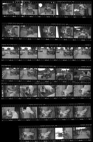 TON_S_Contact_061: Jean Shrimpton