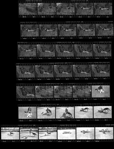 TON_S_Contact_064: Jean Shrimpton