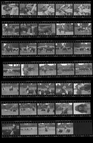 TON_S_Contact_065: Jean Shrimpton