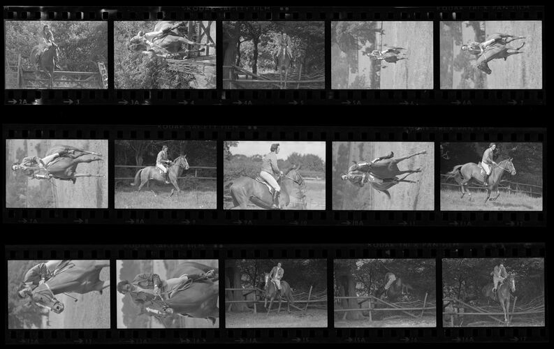 TON_S_Contact_096: Terence Stamp