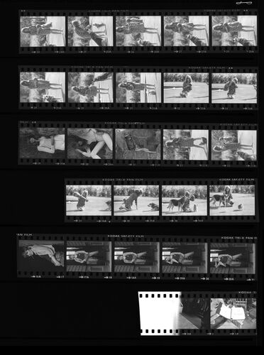 TON_S_Contact_144: Jean Shrimpton