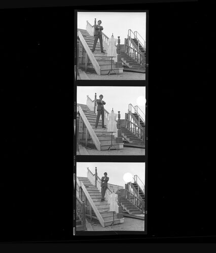 TON_S_Contact_163: Terence Stamp