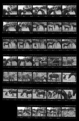 TON_S_Contact_168: Jean Shrimpton