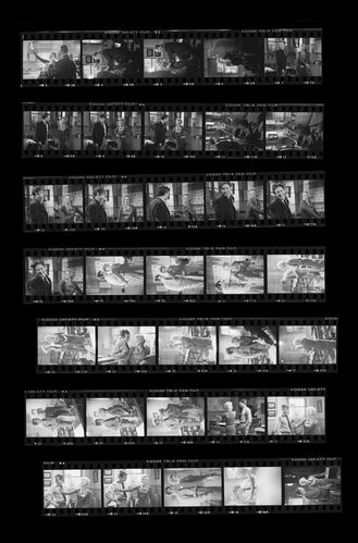 TON_S_contact_206: Maggie Smith