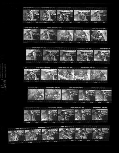 TON_Starr_Contact_004: Ringo Starr