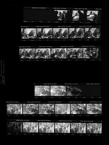 TON_Starr_Contact_005: Ringo Starr