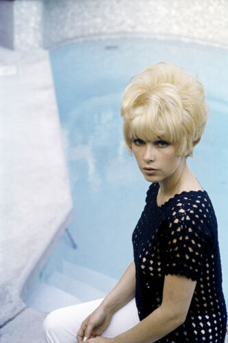 TON_TOF024: Stella Stevens