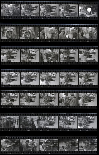 TON_Twiggy_Contact_021: Twiggy