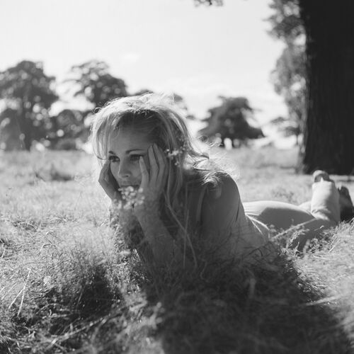 TON_UA029: Ursula Andress