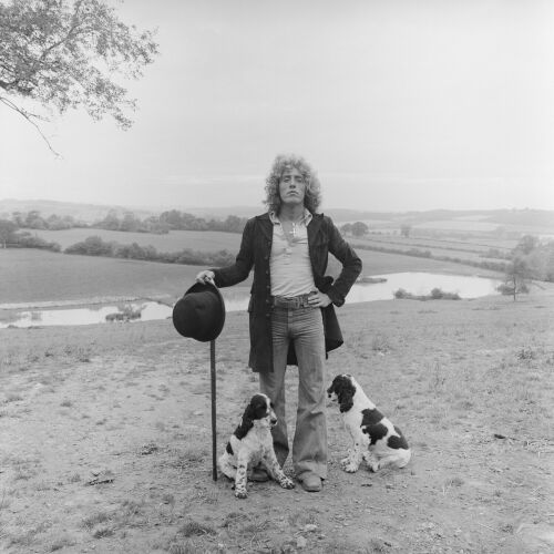 TW017: Daltrey With Dogs