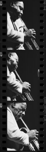 TW_CW002: Cootie Williams