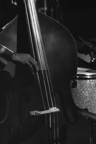 TW_DG022: Double bass