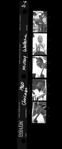 TW_Muddy Waters_D67: Muddy Waters