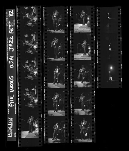 TW_Phil Woods: Phil Woods