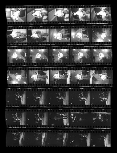 TW_Phil Woods002: Phil Woods