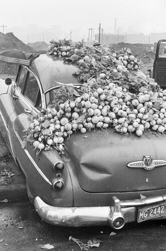 TW_SLC059: Maxwell Street Market