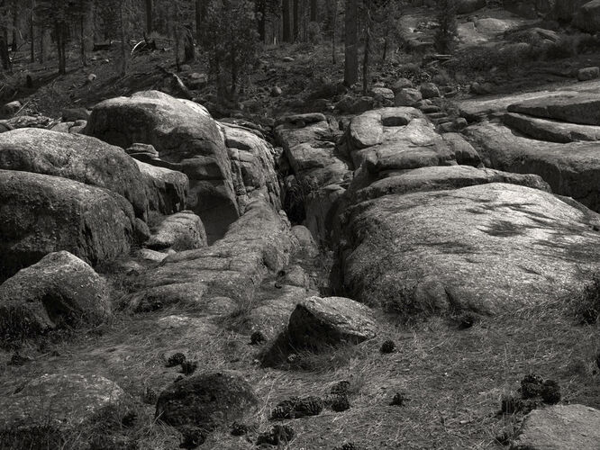 TZ_LNDS002: Sonora Pass 2