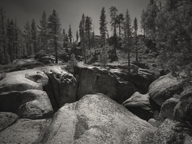 TZ_LNDS003: Sonora Pass 3